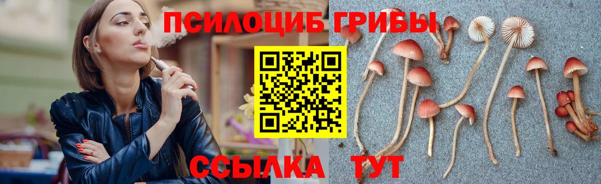 Галлюциногенные грибы Psilocybe  Галлюциногенные грибы MAGIC MUSHROOMS  цена наркотик  Сорочинск  Вход с VPN 